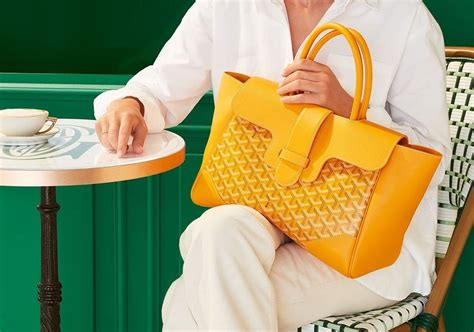 5 Best Goyard Tote Alternatives: Goyard